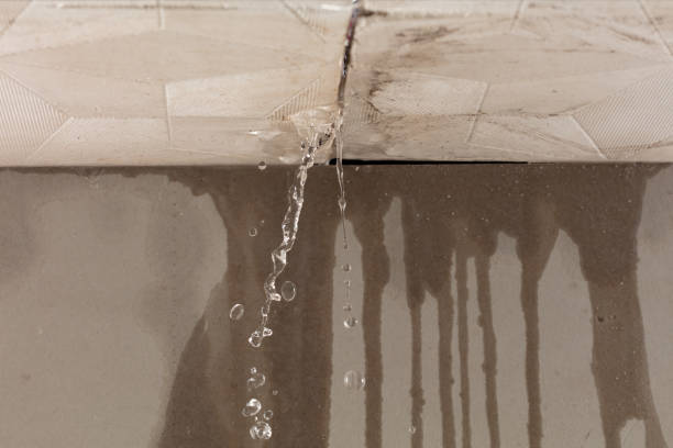 Professional Burst Pipe Cleanup technician working in Archbold, OH